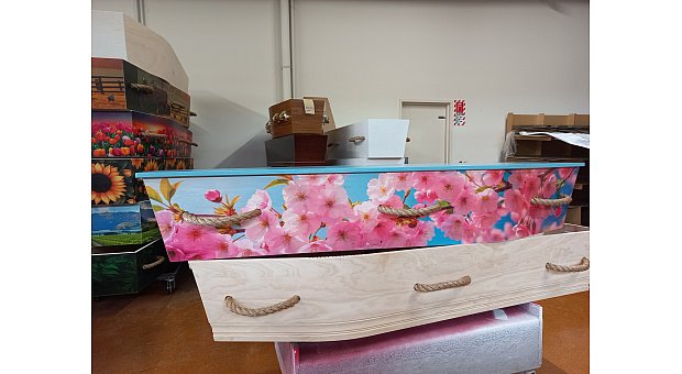 Ply Cherry Blossom Casket with Rope Handles