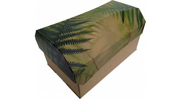 Outside The Box Ash Urn Fern