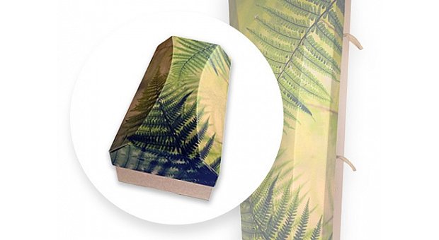 Outside The Box Ash Urn Fern