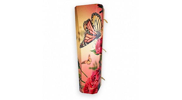Outside The Box Butterfly