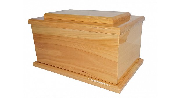 Solid Macrocarpa Gloss