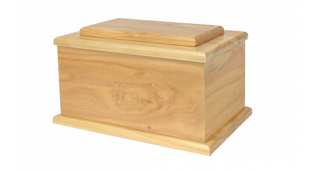 Solid Macrocarpa Satin
