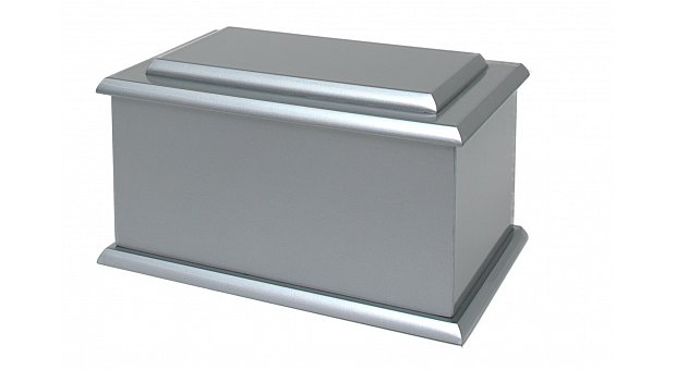 Raised Lid Metallic Silver