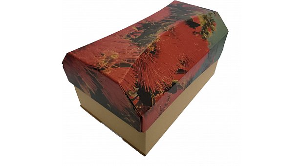 Outside The Box Ash Urn Pohutukawa