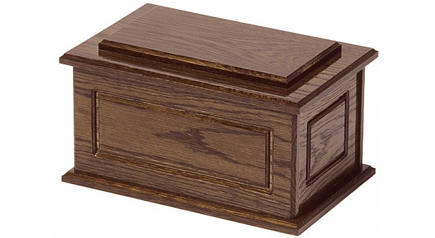 Solid Dark Oak