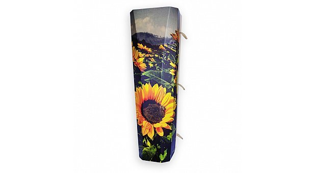 Outside the Box Sunflower