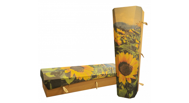 Outside the Box Sunflower